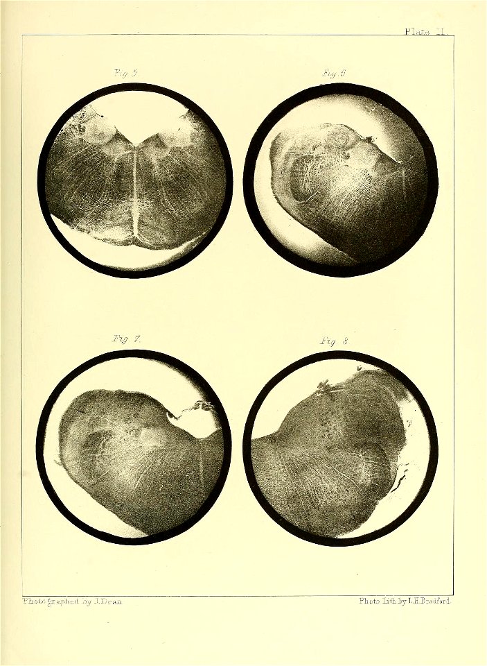 n104_w1150
