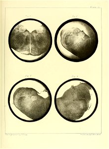 n104_w1150