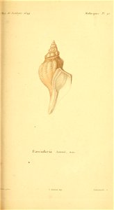 n166_w1150