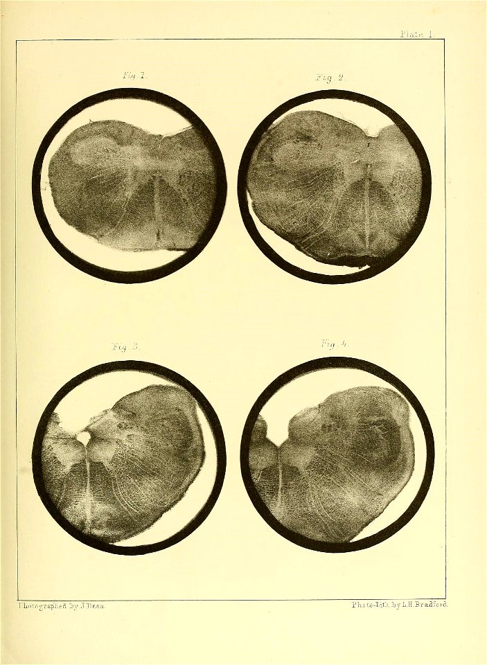 n102_w1150