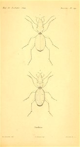 n404_w1150