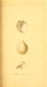 n228_w1150