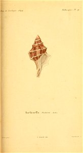 n162_w1150