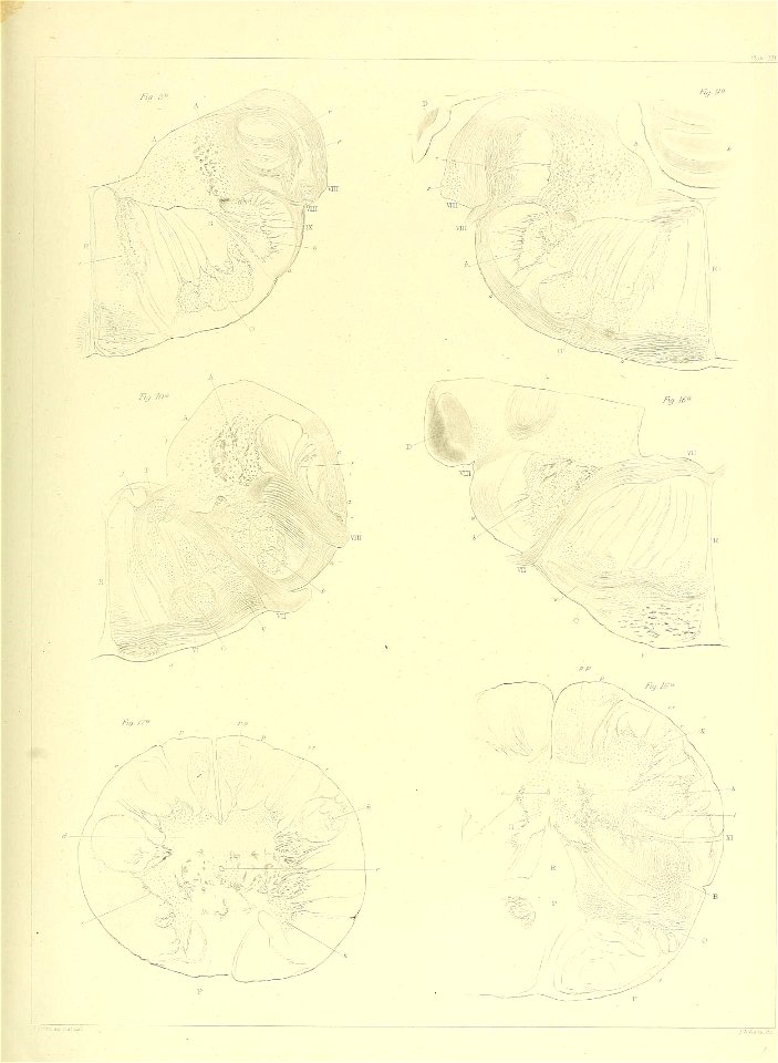 n128_w1150