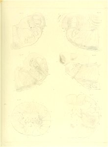 n128_w1150