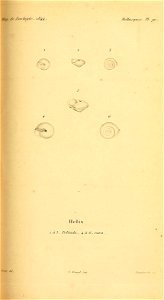 n158_w1150