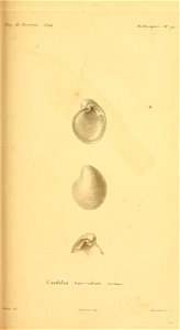 n226_w1150