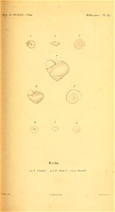 n156_w1150