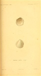 n268_w1150