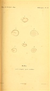 n154_w1150
