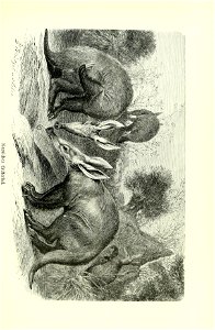 n588_w1150