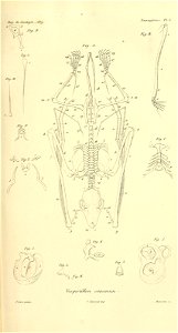 n128_w1150