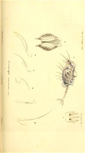 n318_w1150