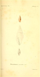 n294_w1150