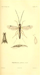 n392_w1150