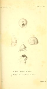 n308_w1150