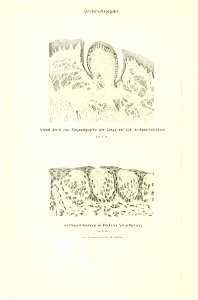 n33_w1150