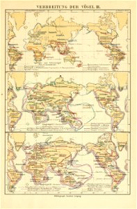 n696_w1150