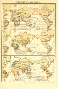n692_w1150