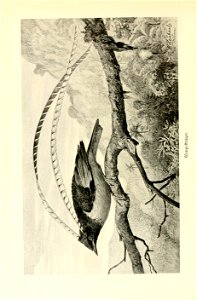 n357_w1150