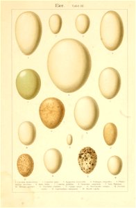 n567_w1150