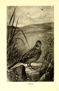 n661_w1150