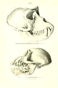 n49_w1150