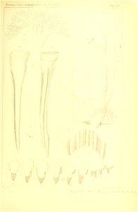 n308_w1150