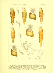 n42_w1150