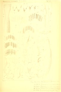 n306_w1150