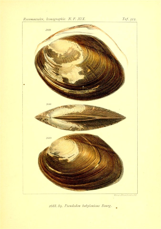 n46_w1150