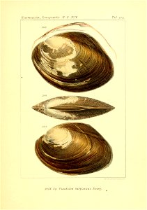 n46_w1150