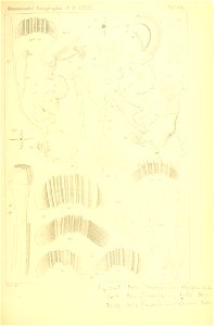 n304_w1150