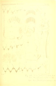 n302_w1150