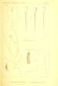 n272_w1150