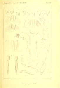 n270_w1150
