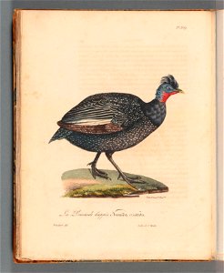 n62_w1150