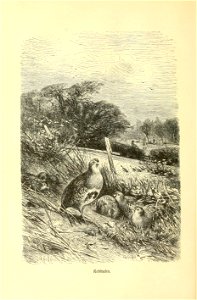 n141_w1150