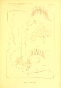 n326_w1150