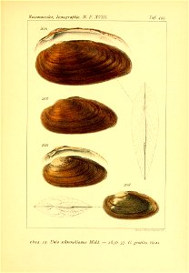 n598_w1150