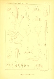 n354_w1150