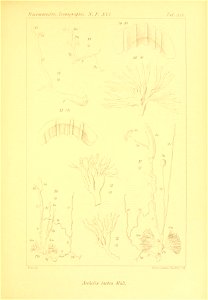 n324_w1150