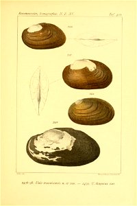 n152_w1150