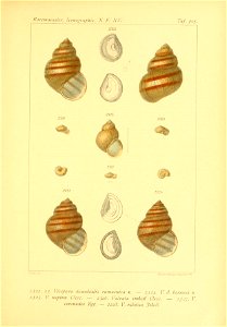 n122_w1150