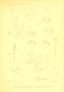 n352_w1150