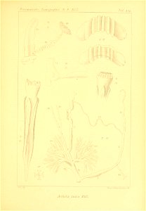 n322_w1150