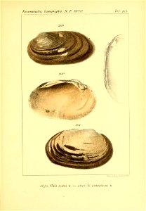 n594_w1150