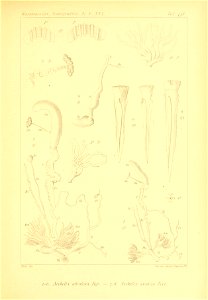 n350_w1150
