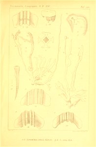 n524_w1150