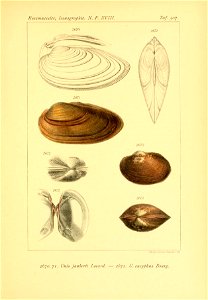 n622_w1150